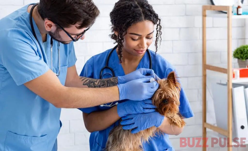 Challenges and Rewards of Being a Vet Tech
