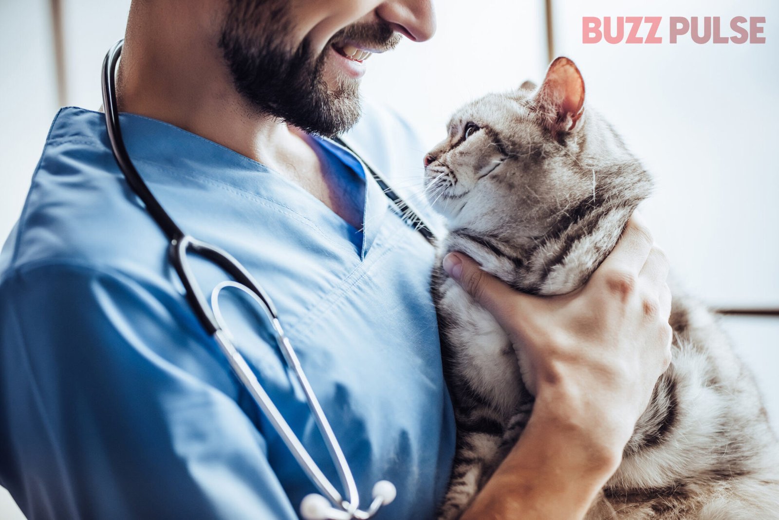 When is vet tech week 2024? Buzz Pulse